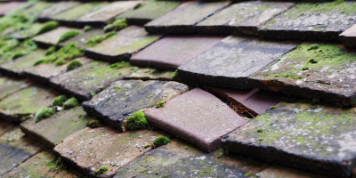 Sheepway roof repair costs